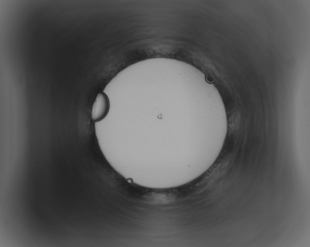 X0000100480464200807111105