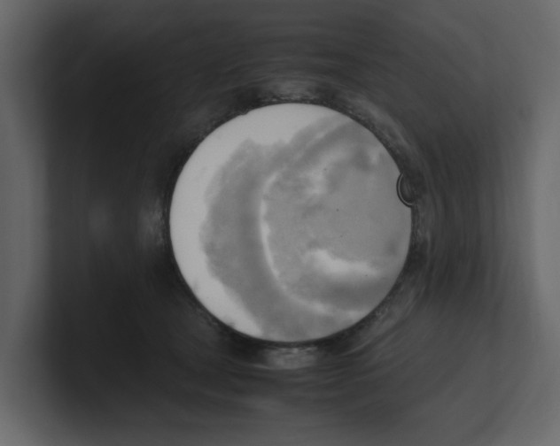 X0000100480465200807111105