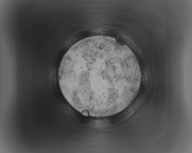 X0000100480466200807111105