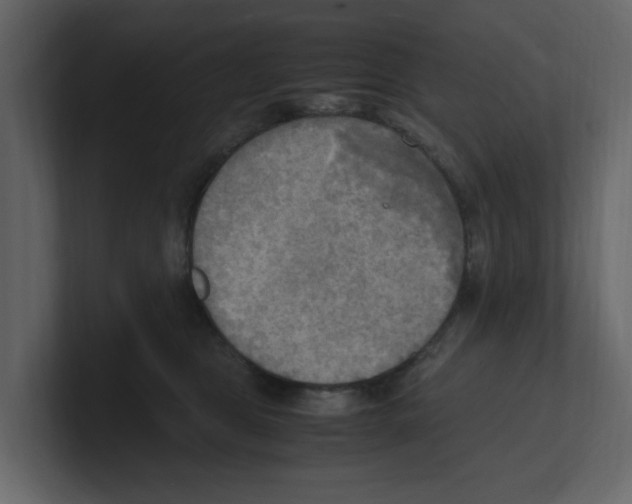 X0000100480469200807111105