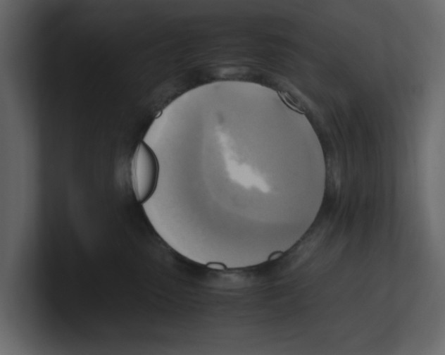 X0000100480475200807111105