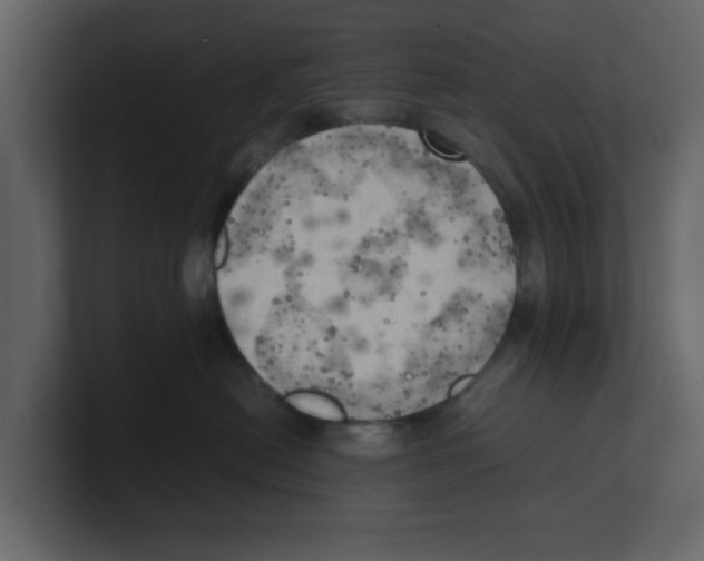 X0000100480478200807111105