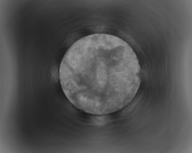 X0000100480479200807111105