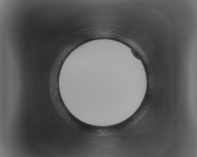 X0000100480481200807111104