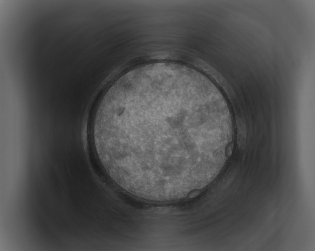 X0000100480482200807111104