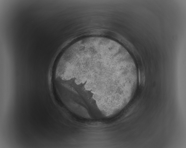 X0000100480483200807111104