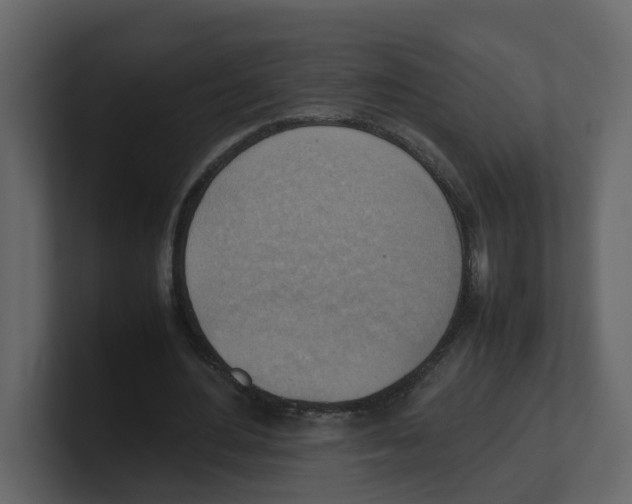 X0000100480484200807111104