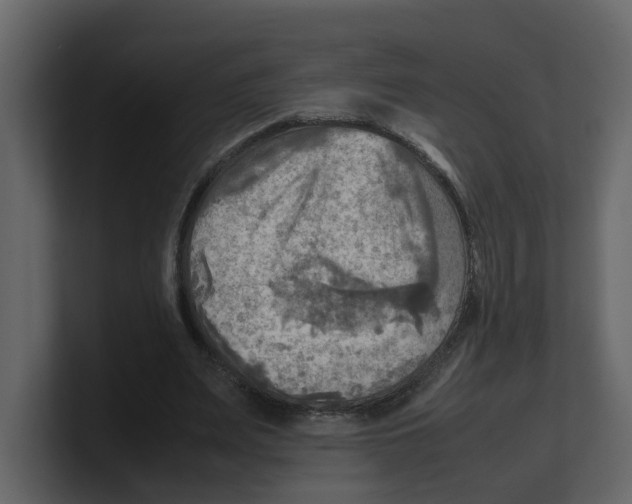 X0000100480487200807111104