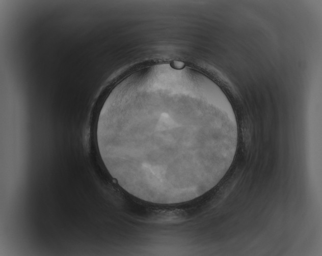 X0000100480488200807111104