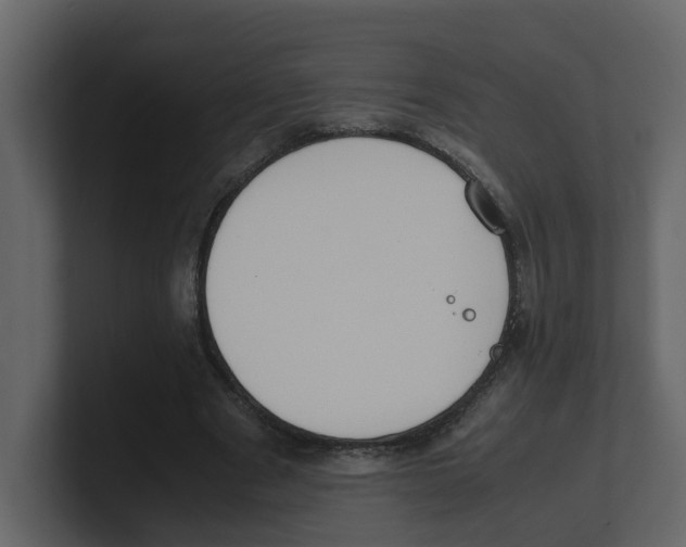 X0000100480489200807111104