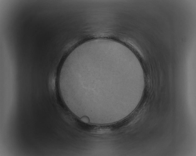 X0000100480491200807111104