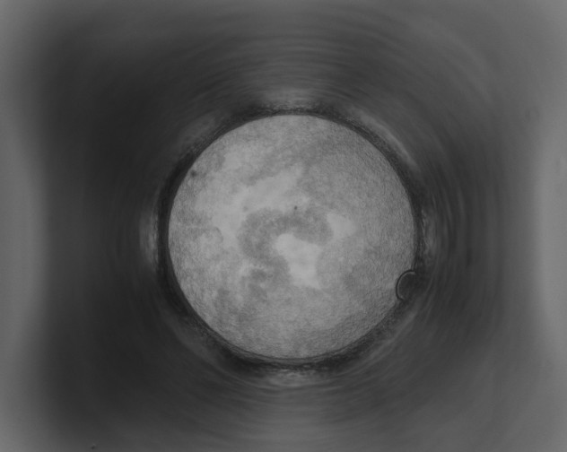 X0000100480494200807111104