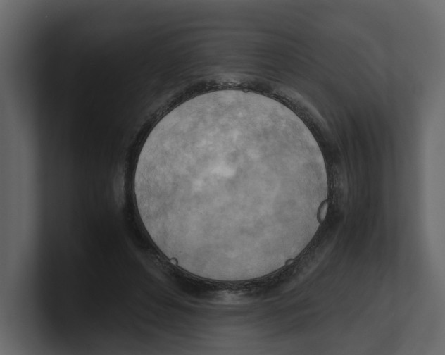 X0000100480496200807111104