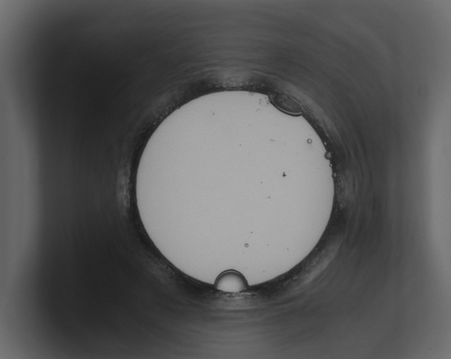 X0000100480497200807111104