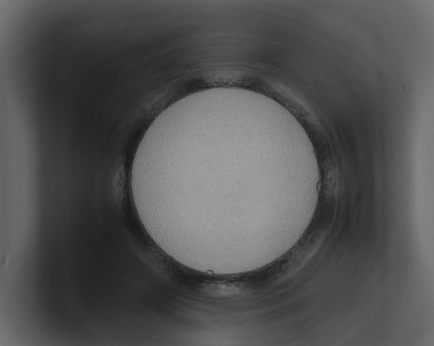 X0000100480498200807111104