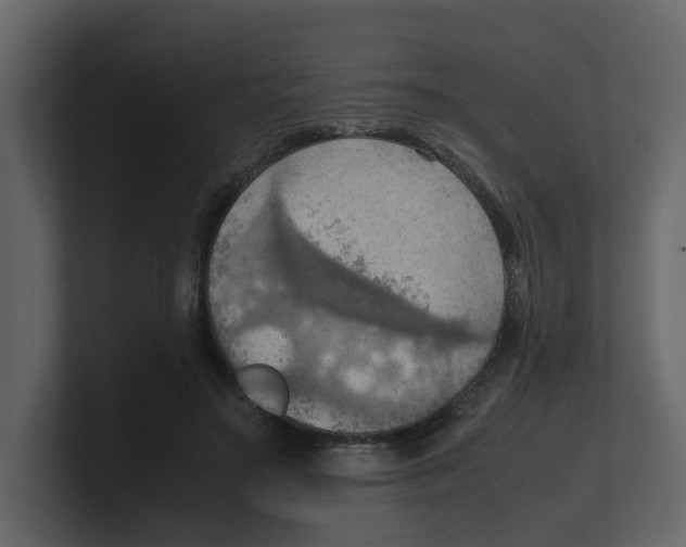 X0000100480499200807111104