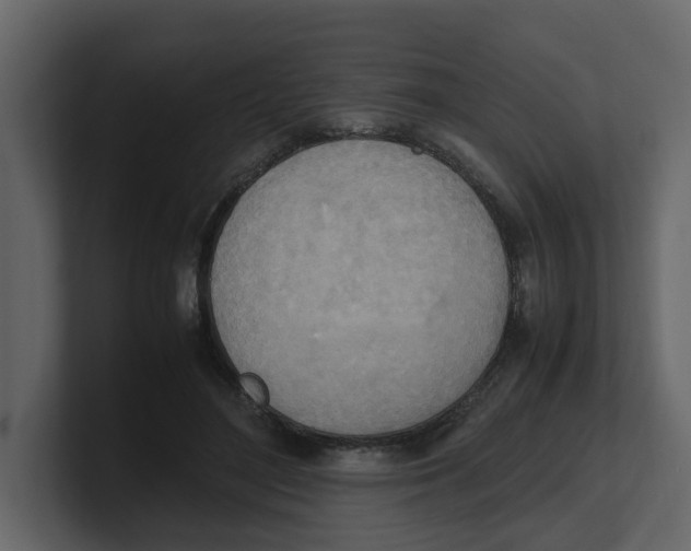 X0000100480500200807111104