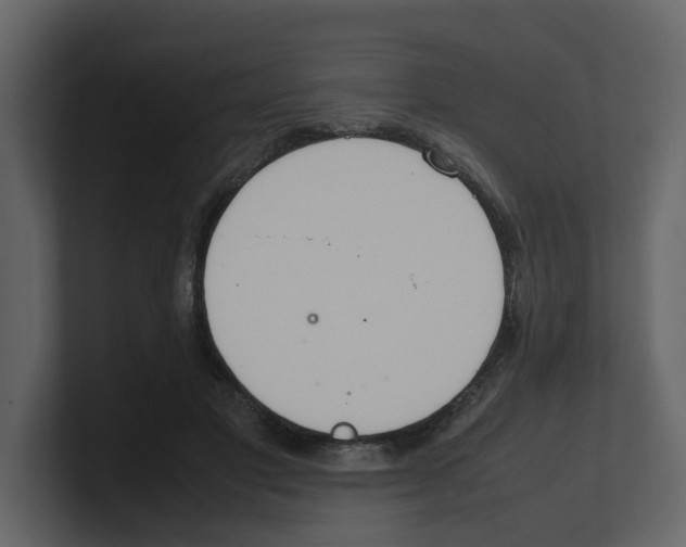 X0000100480501200807111104