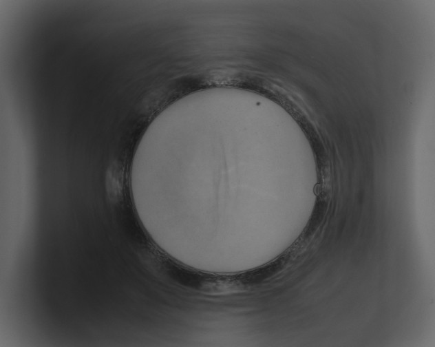 X0000100480503200807111104