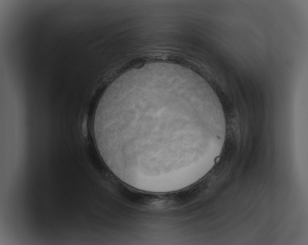 X0000100480504200807111104