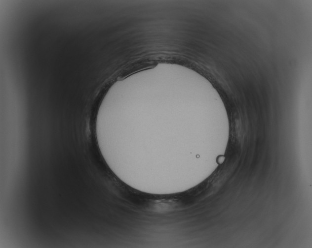 X0000100480508200807111104