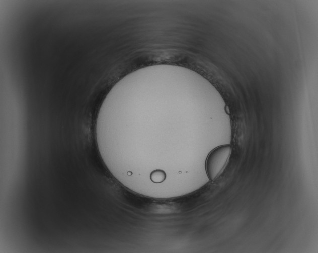 X0000100480510200807111104