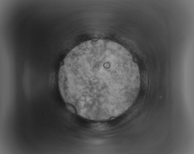 X0000100480511200807111104