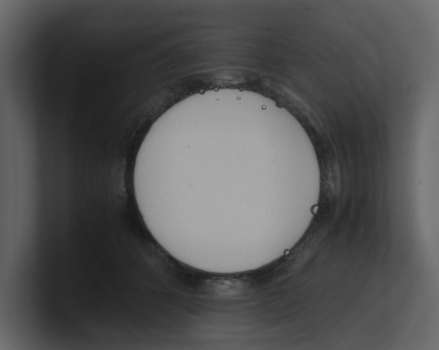 X0000100480512200807111104