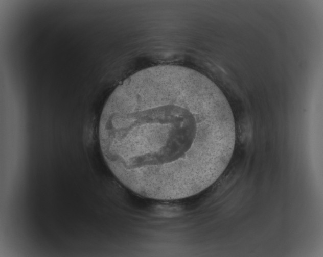 X0000100480515200807111104