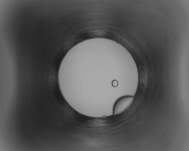 X0000100480518200807111104