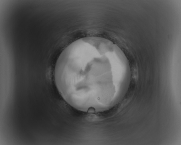 X0000100480519200807111104