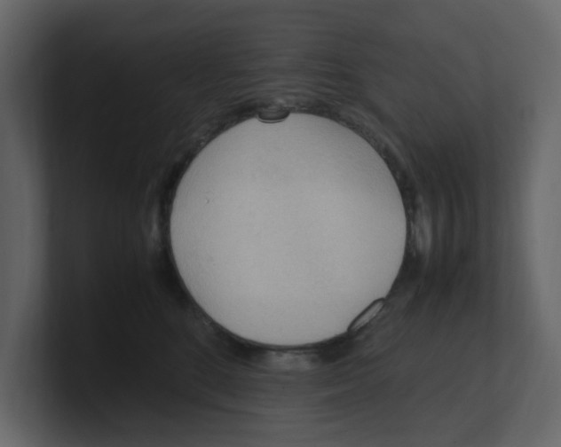 X0000100480520200807111104