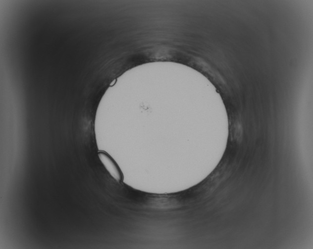 X0000100480521200807111104