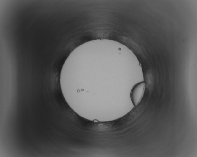 X0000100480522200807111104