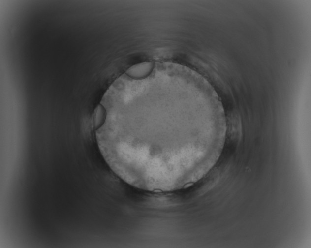 X0000100480523200807111104