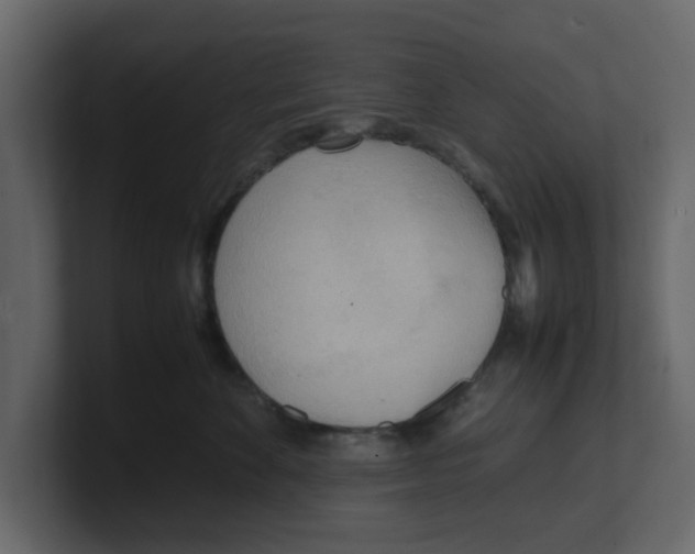 X0000100480524200807111104