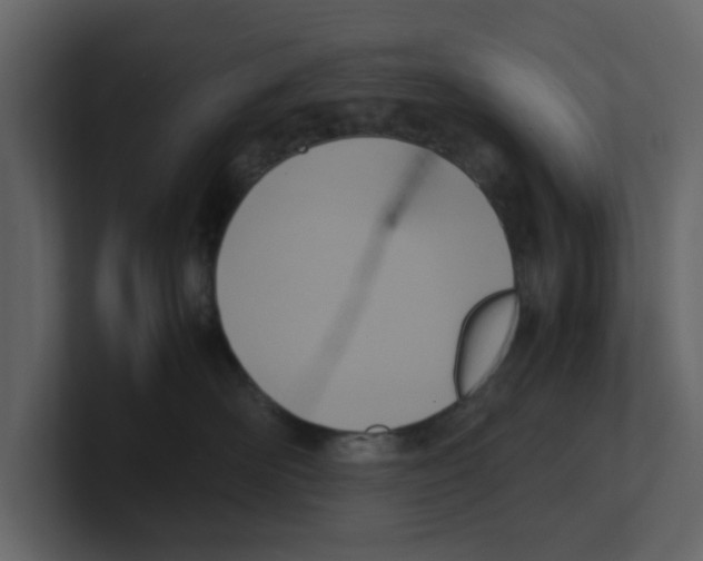 X0000100480526200807111104