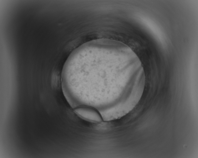 X0000100480527200807111104