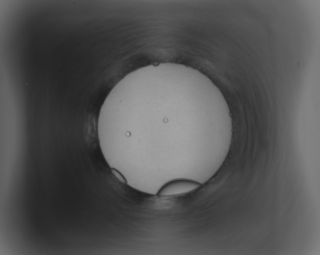 X0000100480528200807111104