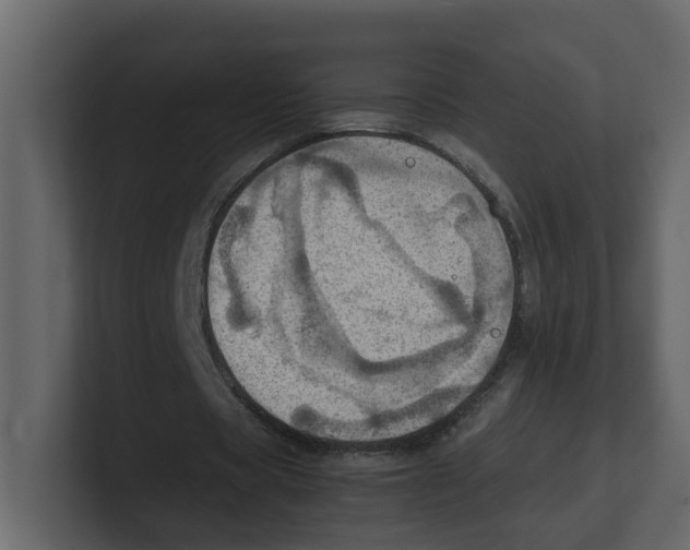 X0000100480529200807111103