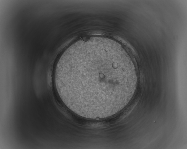 X0000100480533200807111103