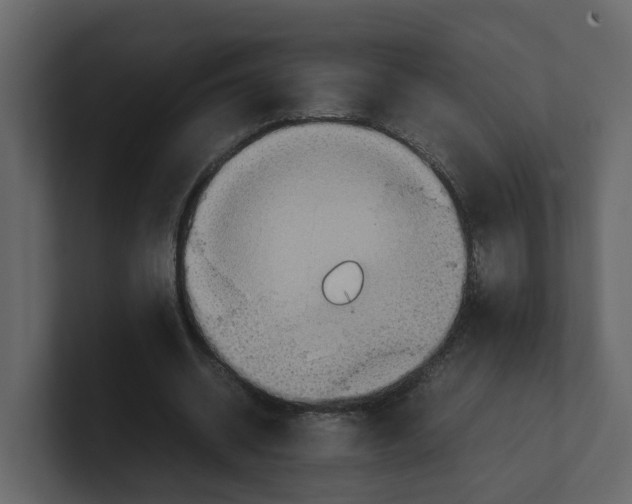 X0000100480534200807111103