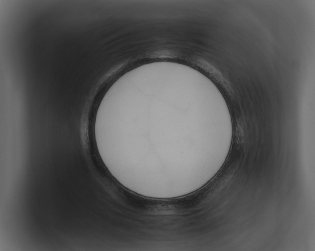 X0000100480535200807111103