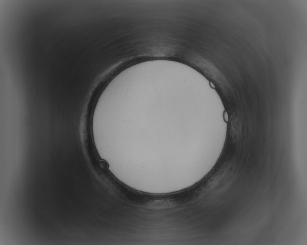 X0000100480536200807111103