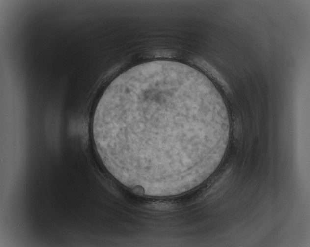 X0000100480537200807111103