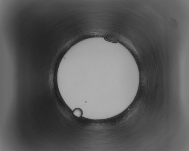 X0000100480538200807111103