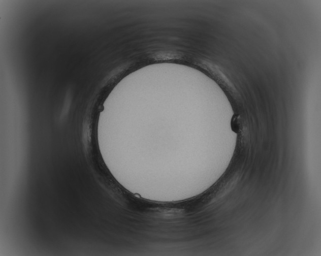 X0000100480539200807111103