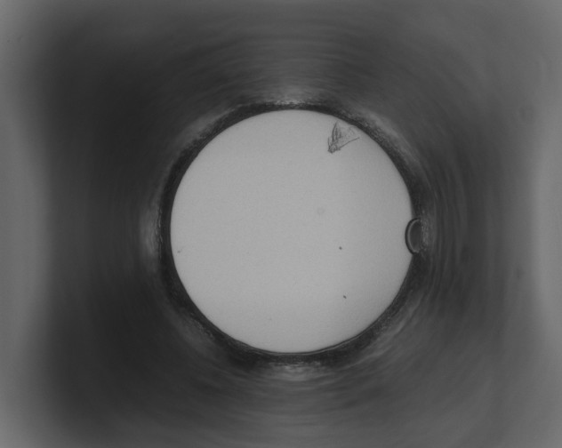 X0000100480540200807111103