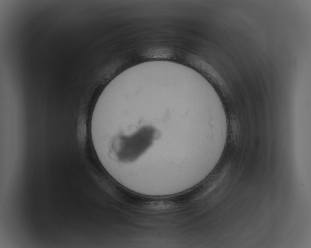 X0000100480541200807111103