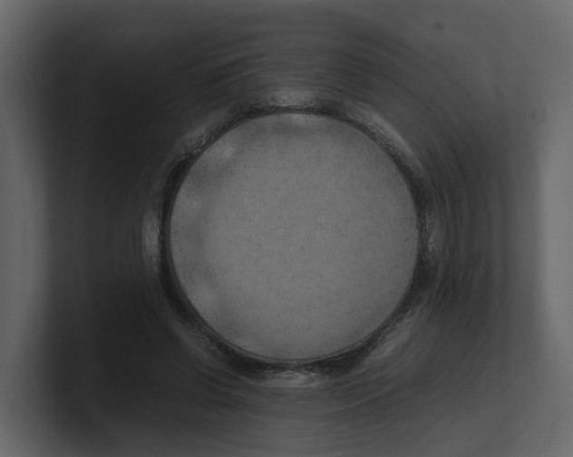 X0000100480542200807111103